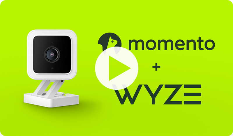 22-11-newsletter-Wyze-spotlight-thumbnail